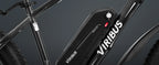 Viribus 500W Fat Tire Mountain E-Bike