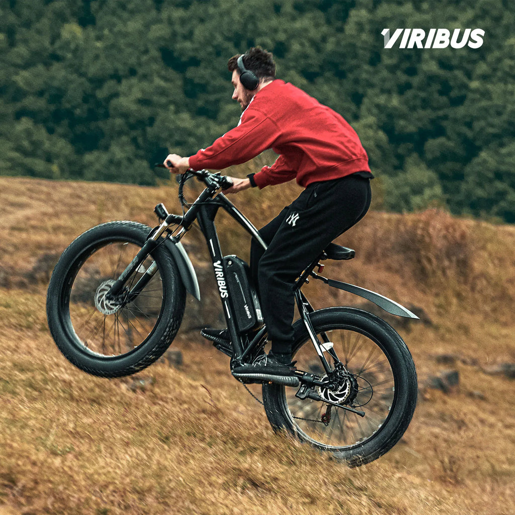 Viribus 500W Fat Tire Mountain E-Bike