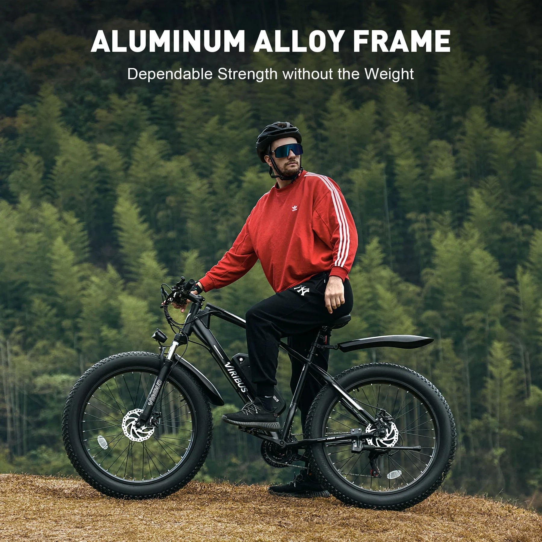 Viribus 500W Fat Tire Mountain E-Bike