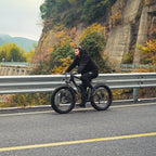 Viribus 500W Fat Tire Mountain E-Bike