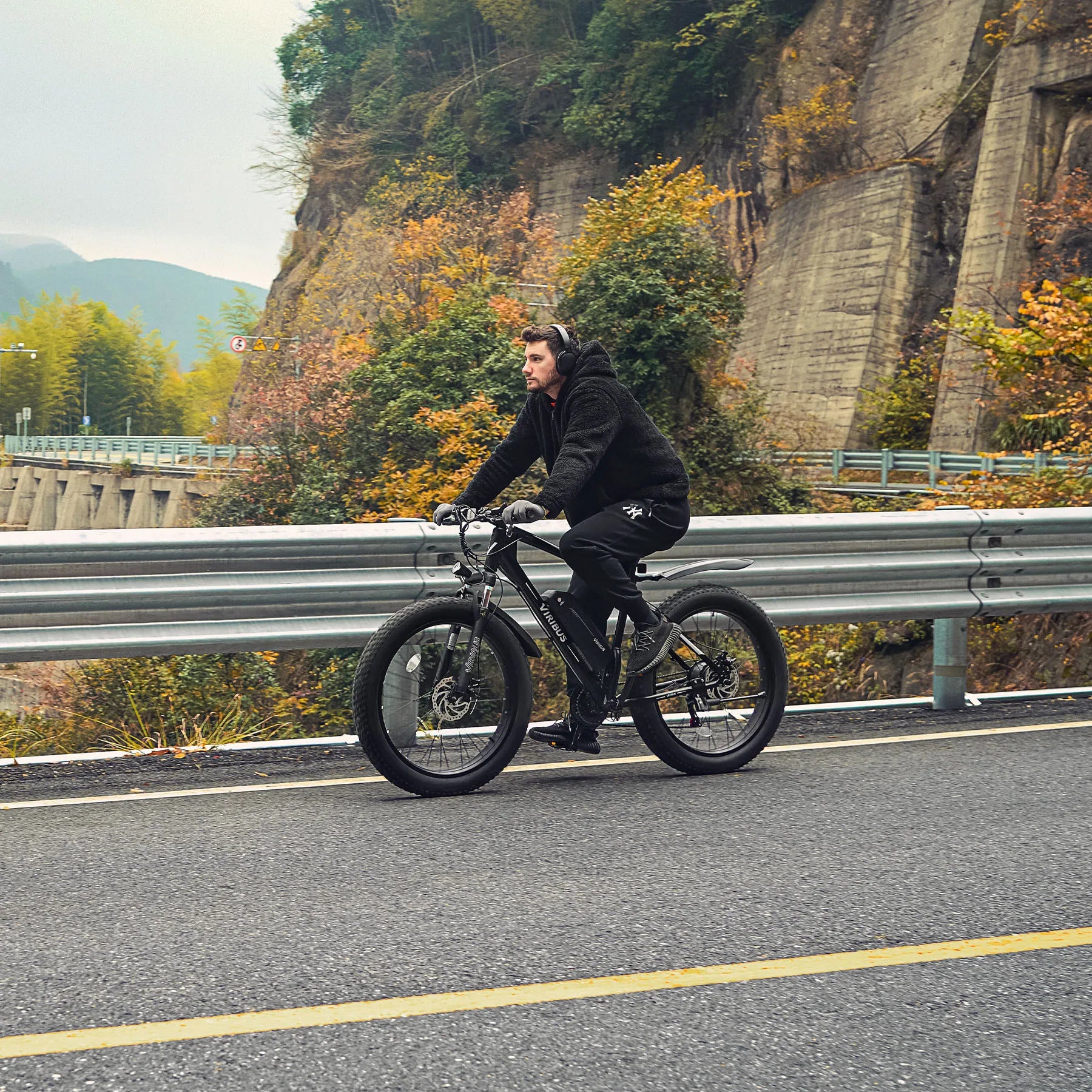 Viribus 500W Fat Tire Mountain E-Bike