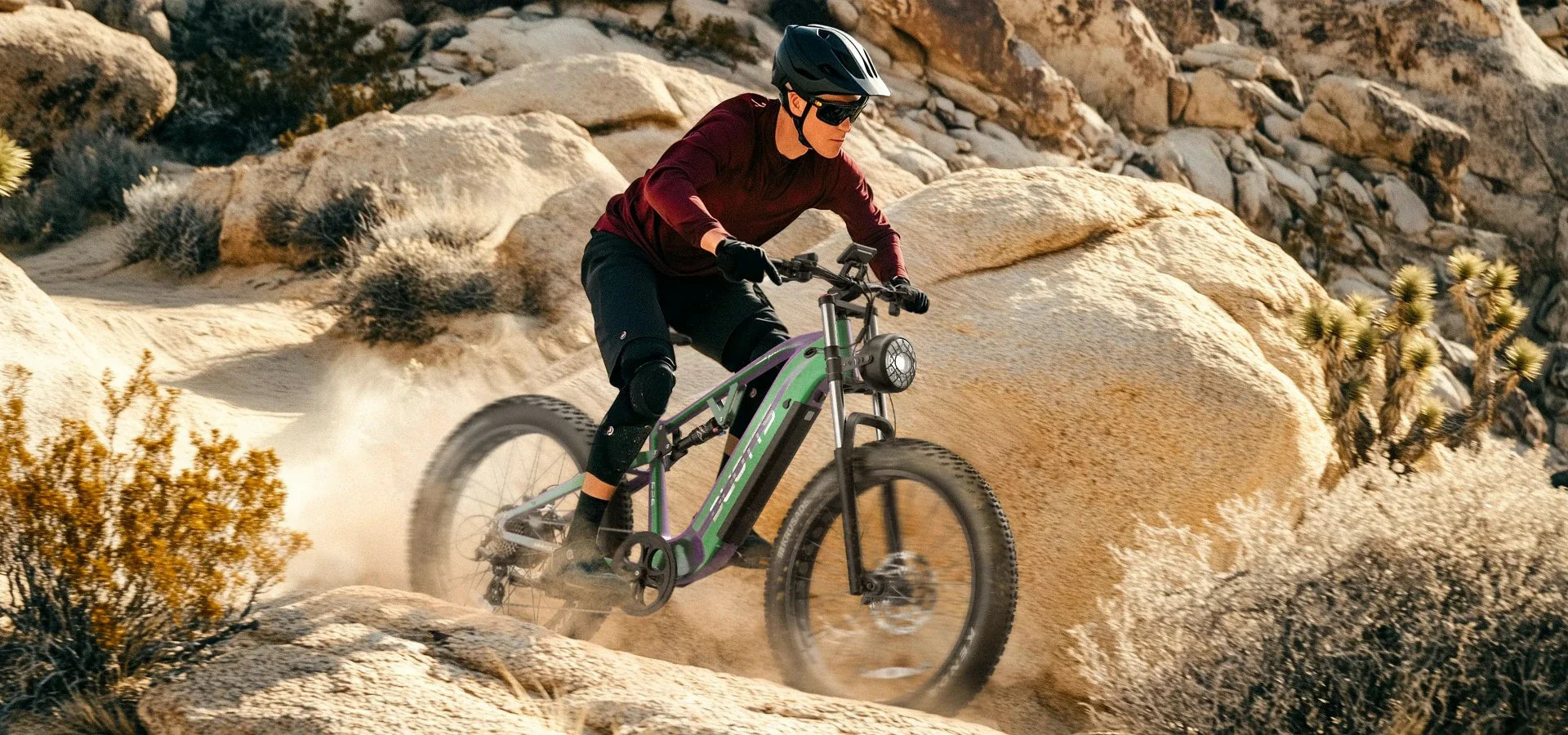DUOTTS E26 26" SUV Fat Tire E-Bike