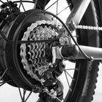 COSWHEEL 750W 20in Electric Hybrid Bike
