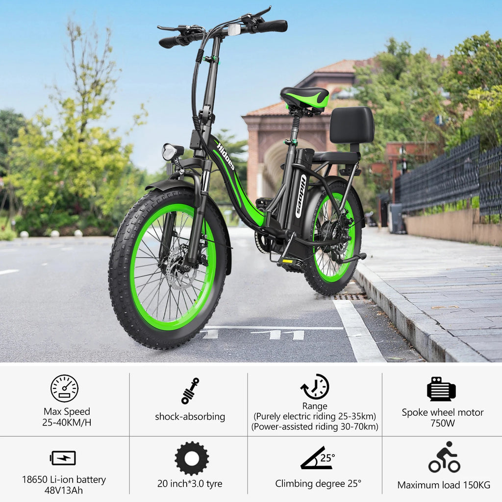 Hidoes C1 Brushless Electric Bike 750w
