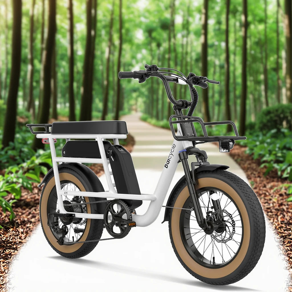 Baicycle Electric Bicycle Hybrid Bike All-Terrain 1500w
