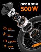 Bodywel F20 Electric Bike 20 Inch