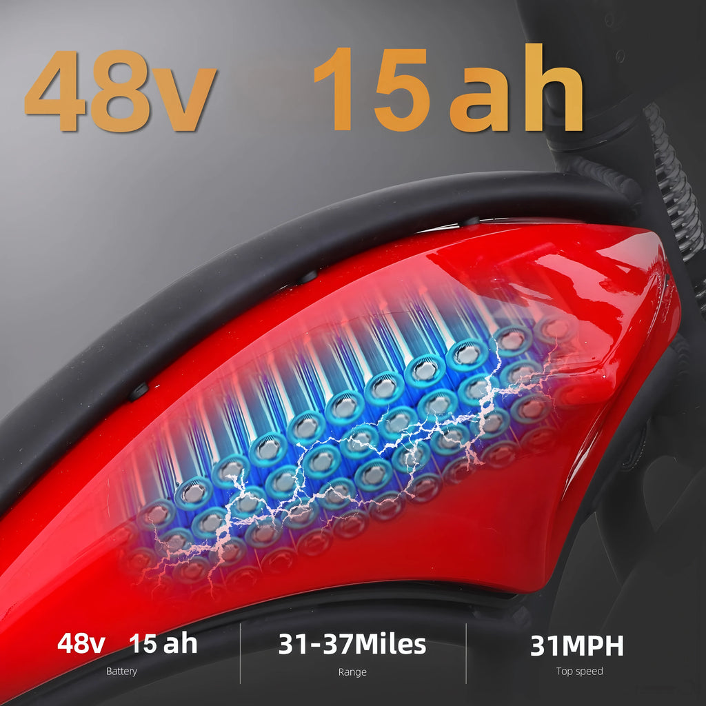 Kenda 750W Fat Tire All-Terrain E-Bike