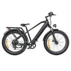ENGWE E26 Mountain Electric Bike
