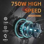 Kenda 750W Fat Tire All-Terrain E-Bike