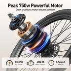 Aairsk 400W 36V 13Ah Mountain Ebike