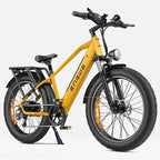 ENGWE E26 Mountain Electric Bike
