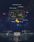 DriveTron DT10 Dual Motor E-Scooter
