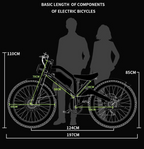 DUOTTS N26 26" Dual Motor Dirt Bike