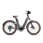 Mihogo 750W Brushless Geared Motor Electric Bicycle