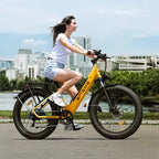 ENGWE E26 Mountain Electric Bike