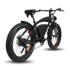 Kenda 48V All-Terrain Fat Tire E-Bike